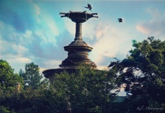 Park
