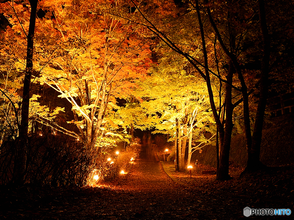 山中湖紅葉祭り　