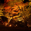 山中湖　紅葉　祭り　　山中湖紅葉祭り　ライトアップ