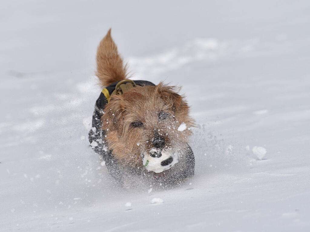 雪遊び