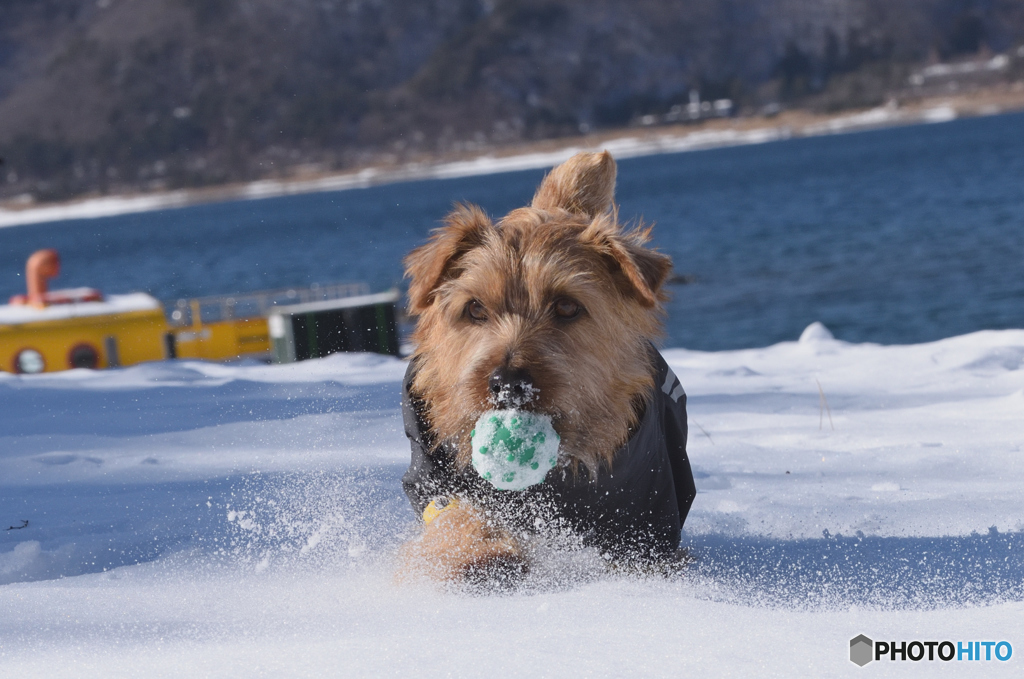 初雪遊び