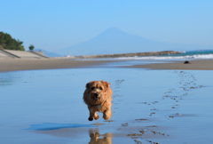 富士山とフクちゃん