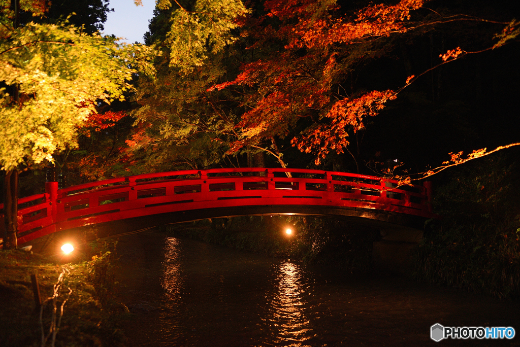 小國神社　紅葉