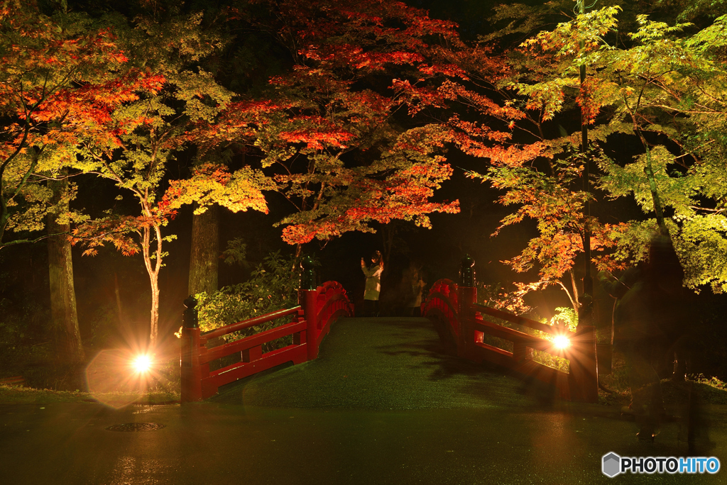 小國神社　紅葉