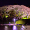 蓮華寺池公園のライトアップ