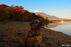 ドローンが飛んでるので・・・