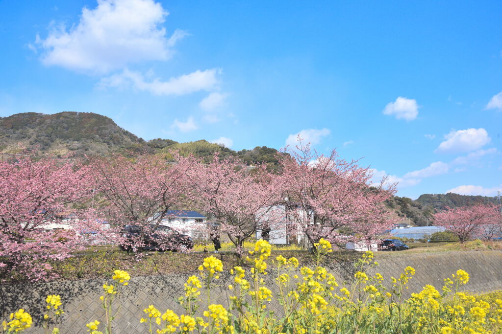 いい天気