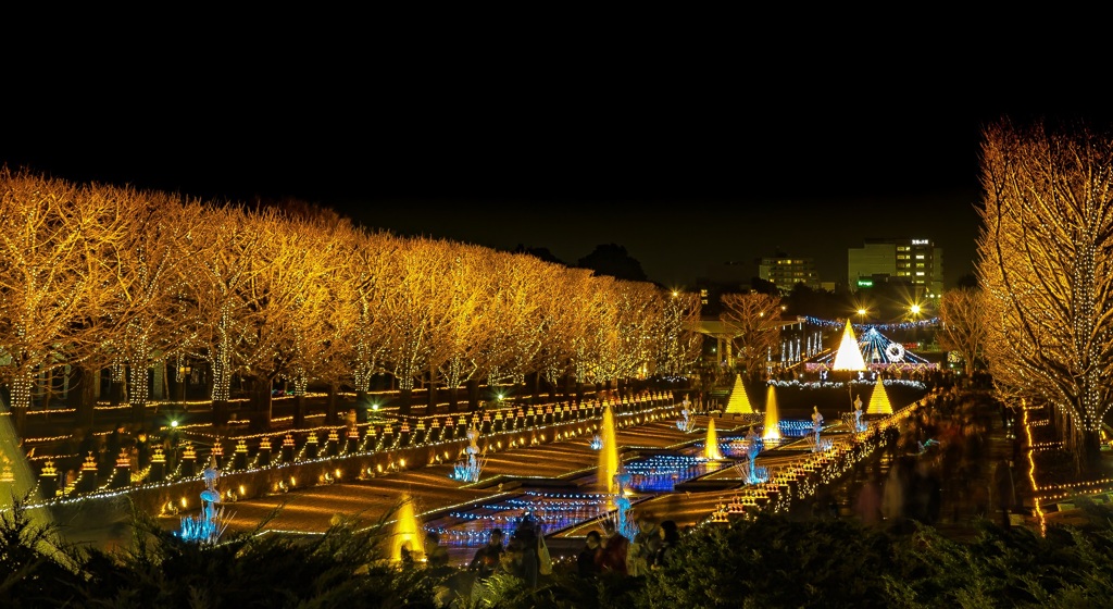 国営昭和記念公園イルミネーション