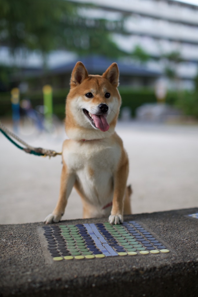 なにがあるの？