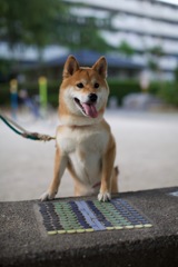 なにがあるの？