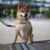 なにがあるの？