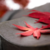 瓦屋根の裏紅葉