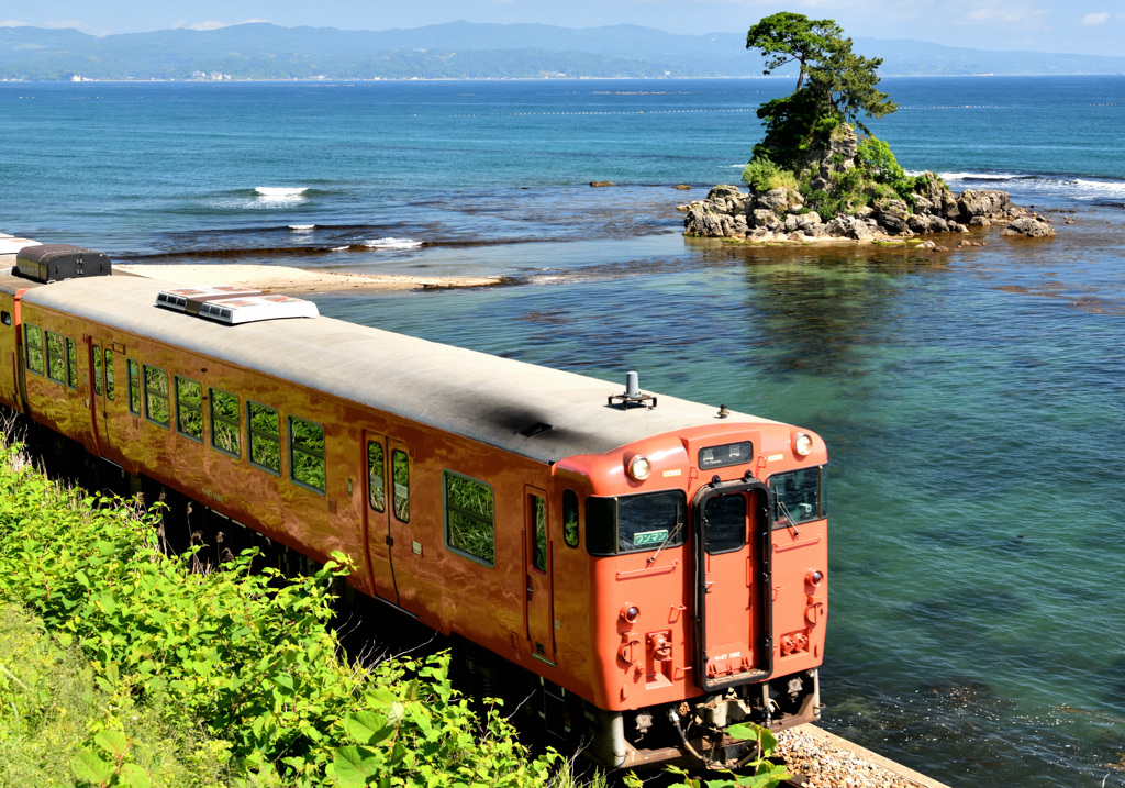 雨晴海岸を行くタラコ列車