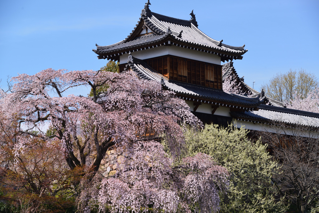 大和郡山城跡　東隅櫓