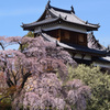大和郡山城跡　東隅櫓