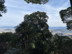 大和三山