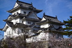 春の伊賀上野城