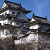 春の伊賀上野城