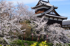 大和郡山城跡　追手向櫓