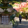 蛇腹道　紅葉トンネルを行き交う人