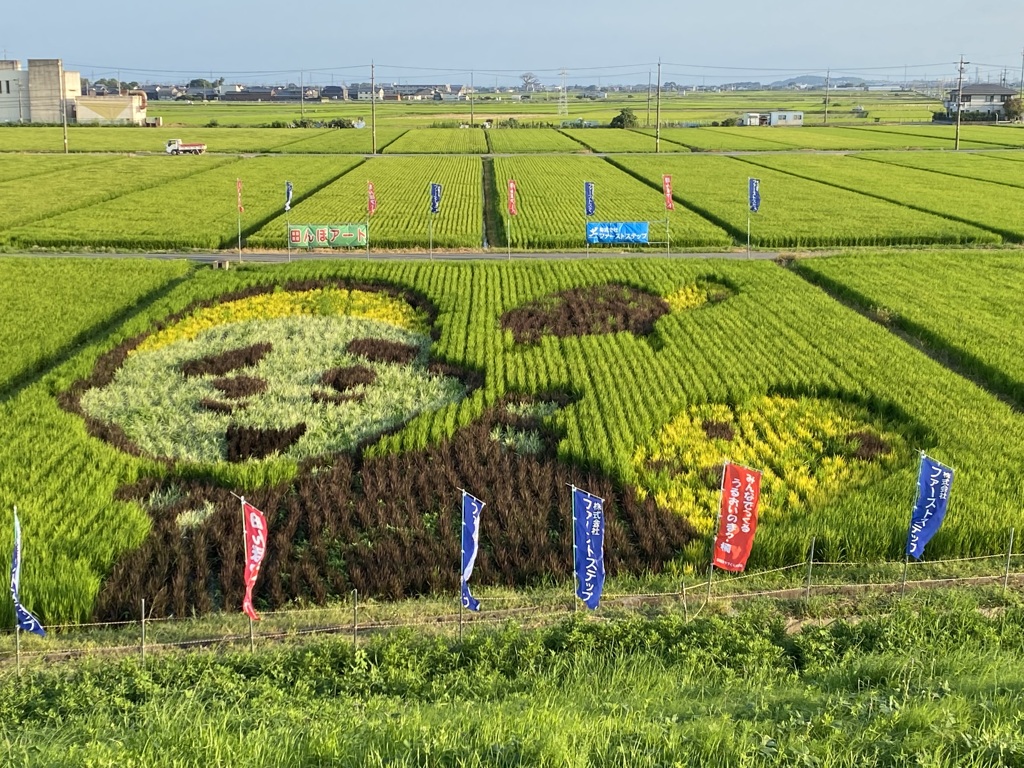 ゆるポタ⑭こにゅうどうくん　田んぼアート