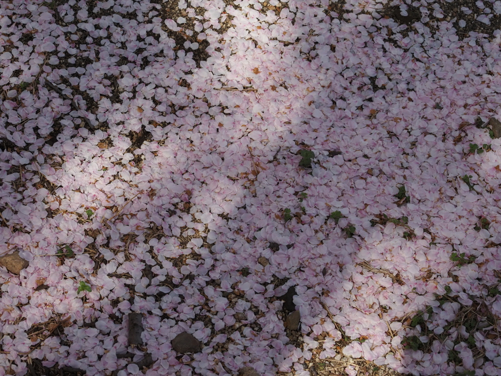 宴の終わり