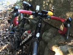 ゆるポタ㉗　折返し地点