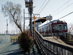 ゆるポタ㉞　柳駅と柳の木
