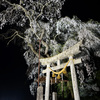 黒川地区　天満神社　枝垂れ桜ライトアップ