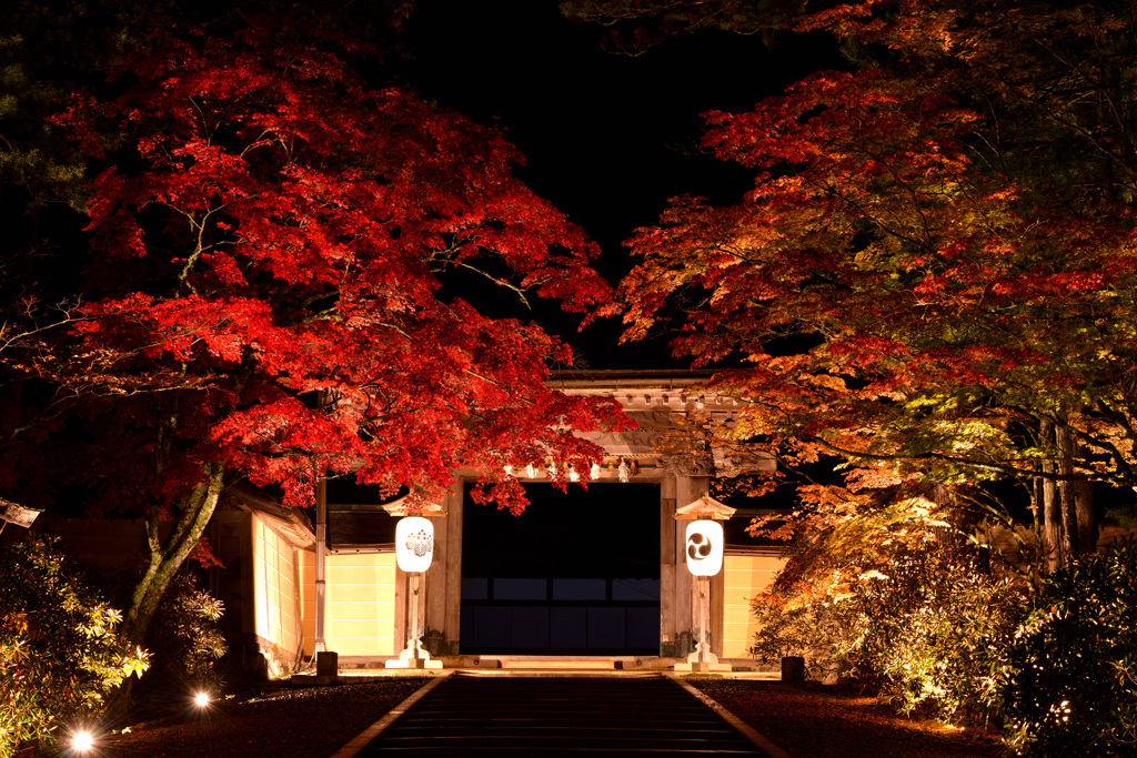 未明の金剛峯寺