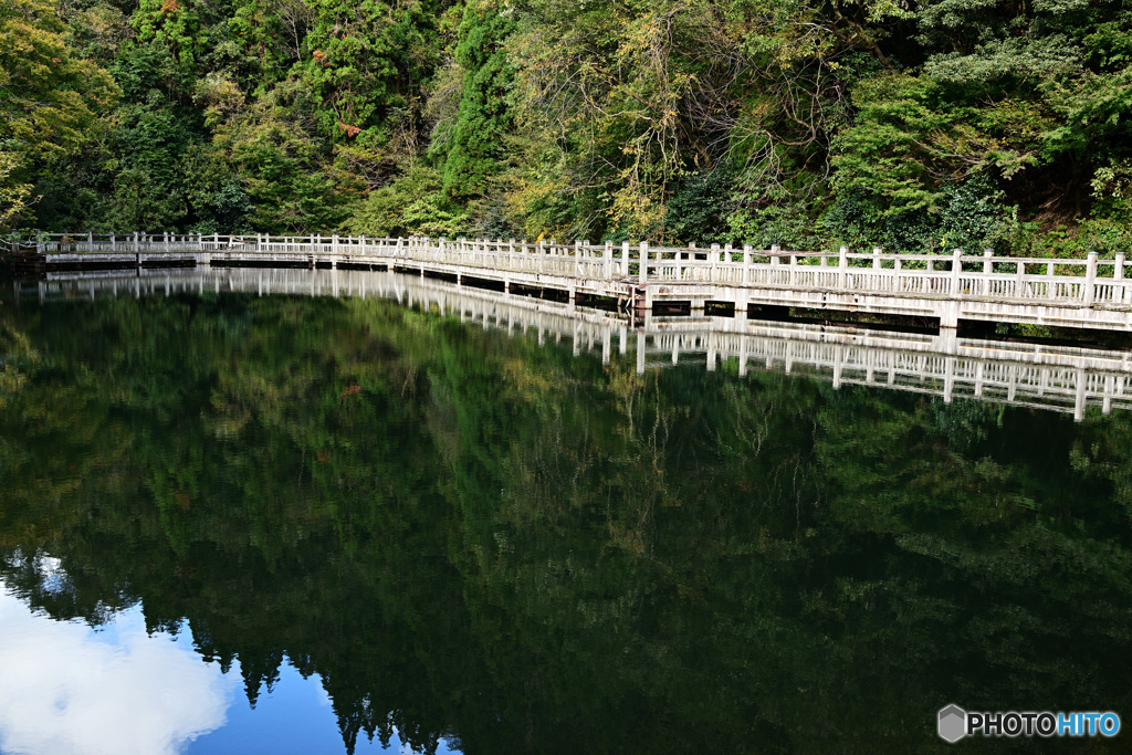 もみじ池　白木橋
