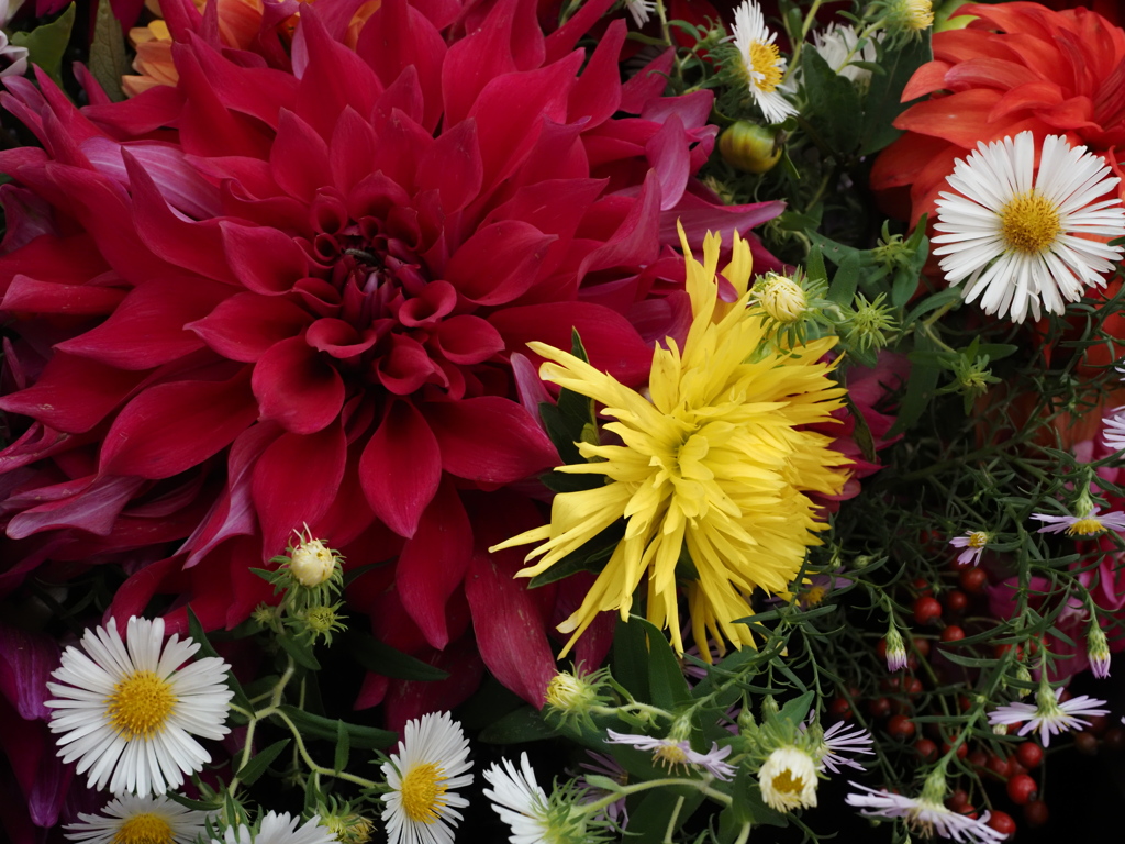 百合が原公園にて