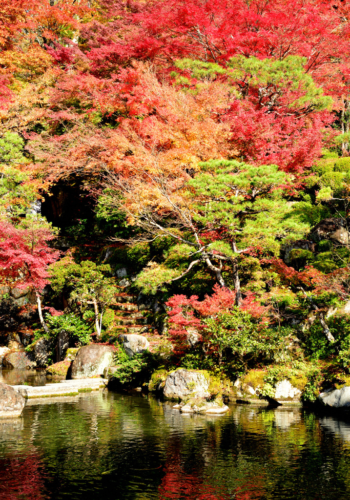 本坊庭園
