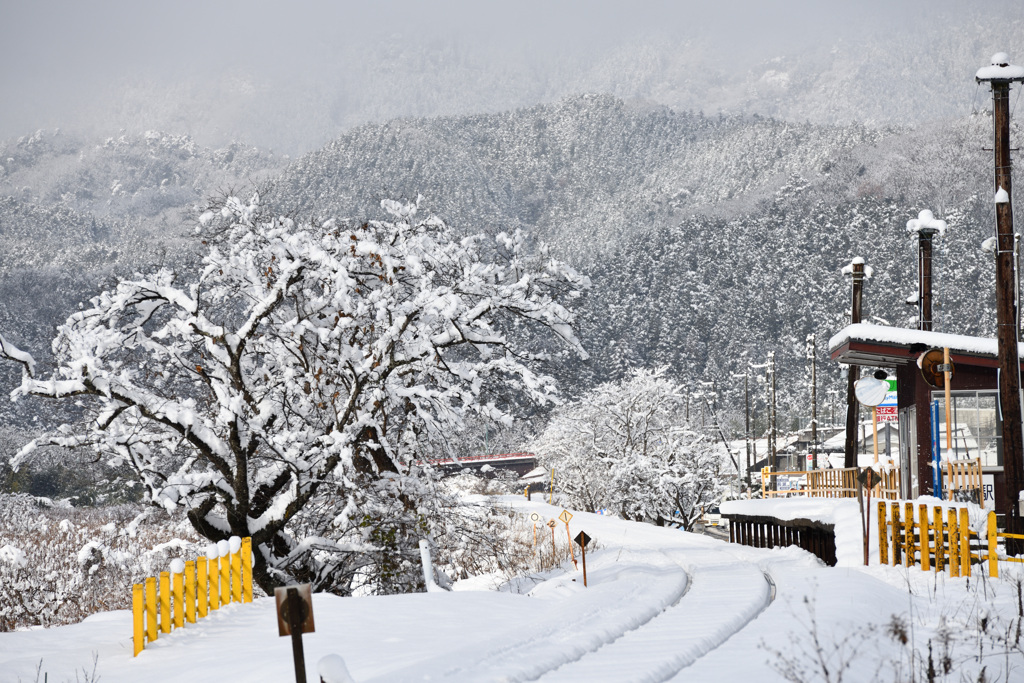 ローカル駅の雪景色