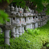 新緑の勝尾寺