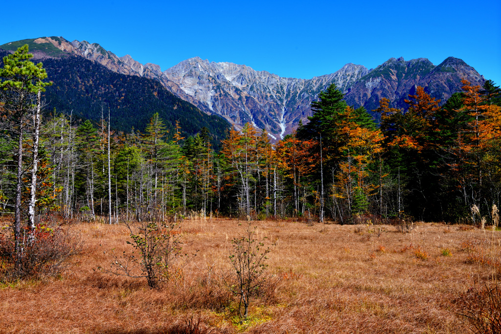 田代湿原から臨む穂高連峰