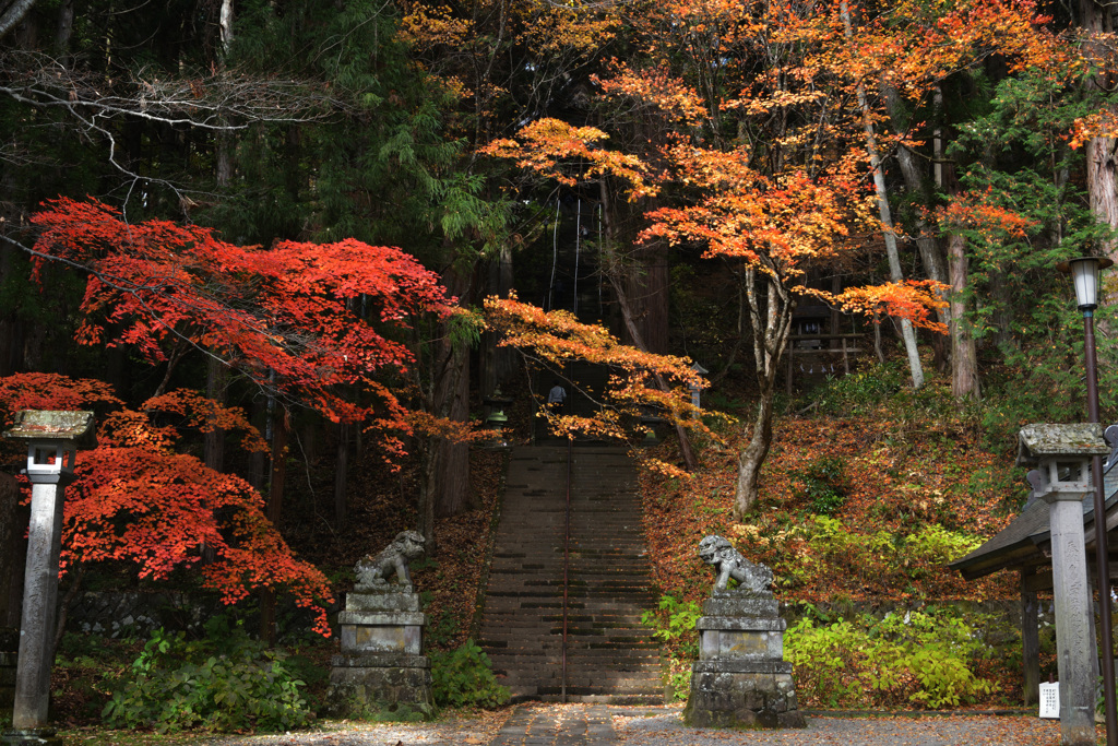 戸隠神社・宝光社