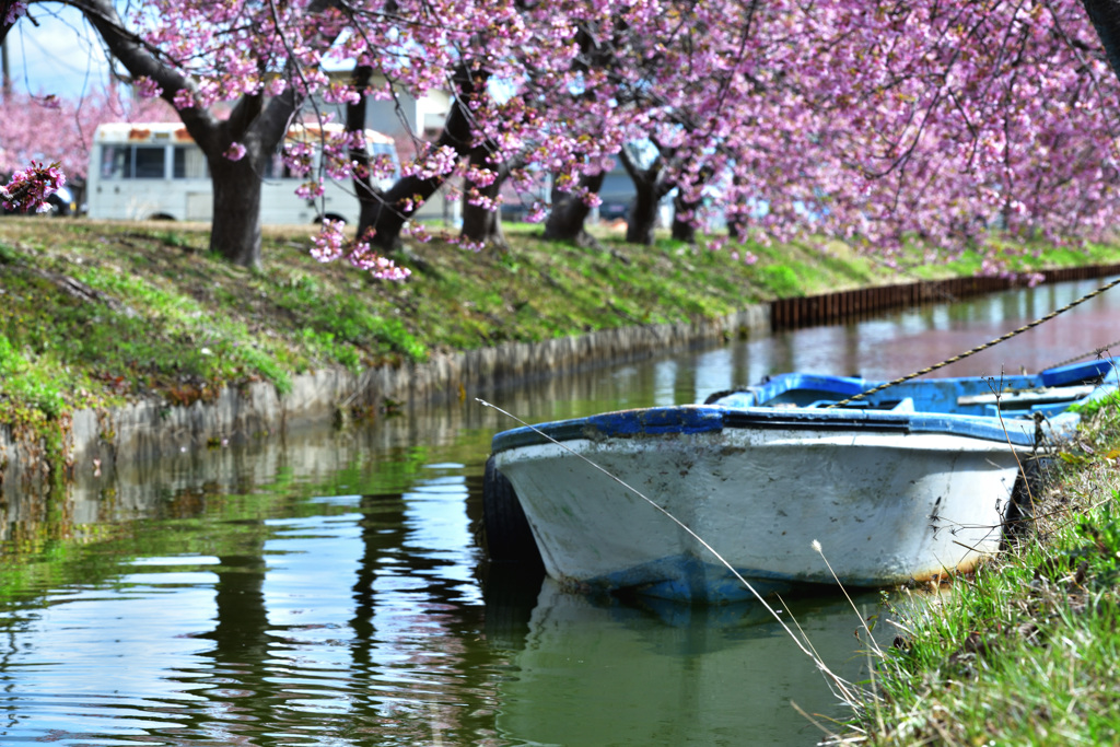 桜×小舟×マイクロバス