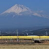 ドクターイエロー（T4編成）体験乗車