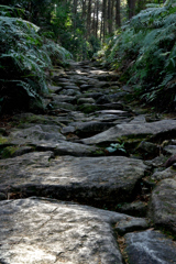 熊野古道　馬越峠