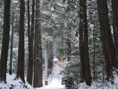 尾高観音　雪景色