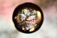 長浜盆梅展①　幽玄