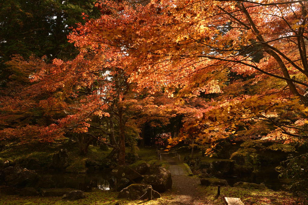 晩秋の北畠神社