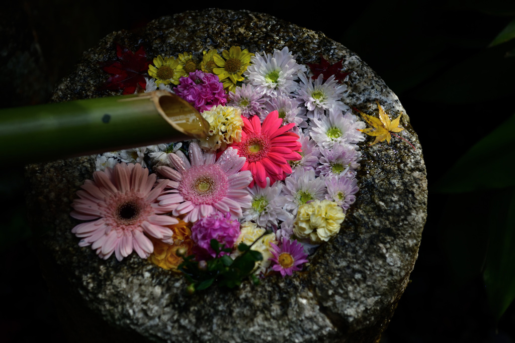 花手水