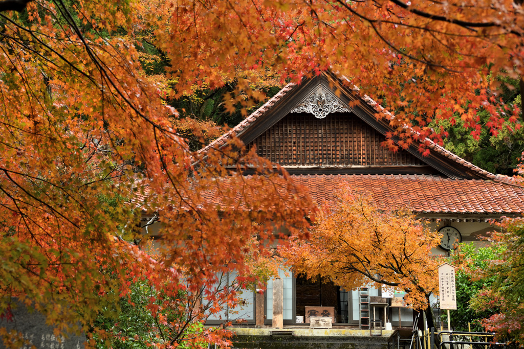 聖宝寺の紅葉