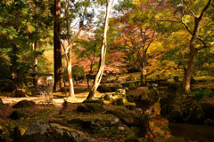 晩秋の北畠氏館跡庭園