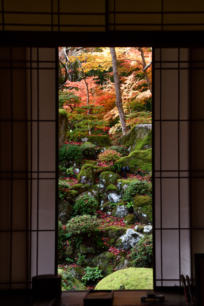 掛け軸庭園