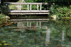 モネの池② モネの池②