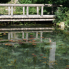 モネの池②