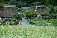 京都の里山風景